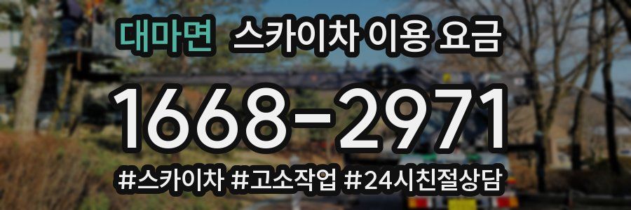 대마면 스카이차 이용 요금