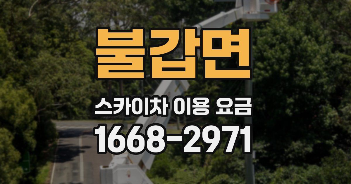 불갑면 스카이차 이용 요금