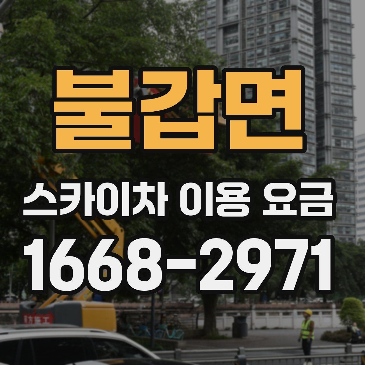 불갑면 스카이차 이용 요금
