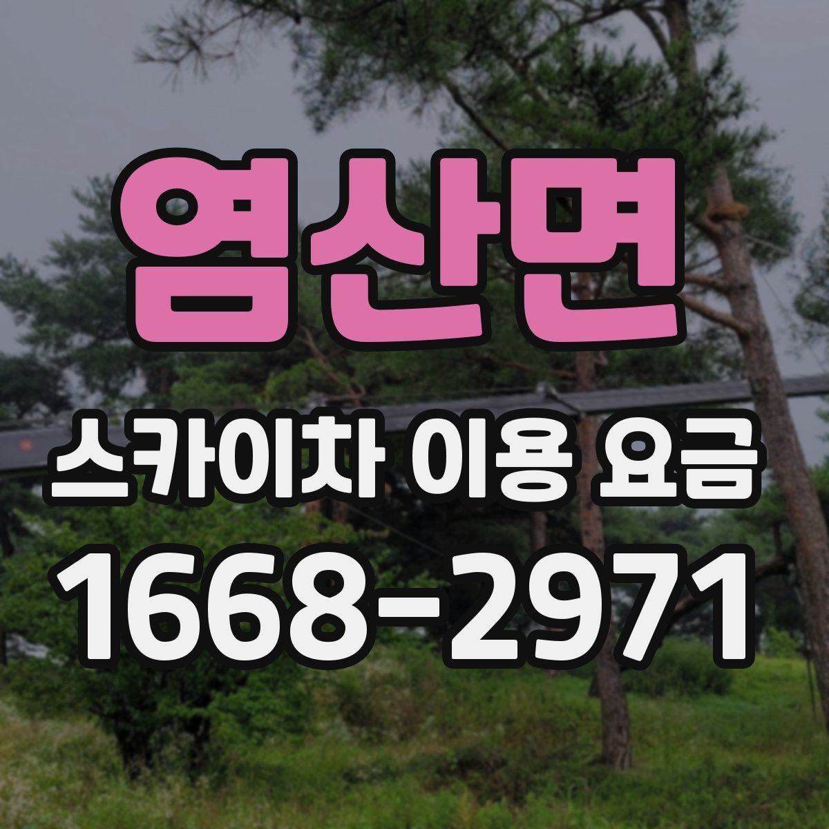 염산면 스카이차 이용 요금 확인할 때 가장 먼저 볼 것