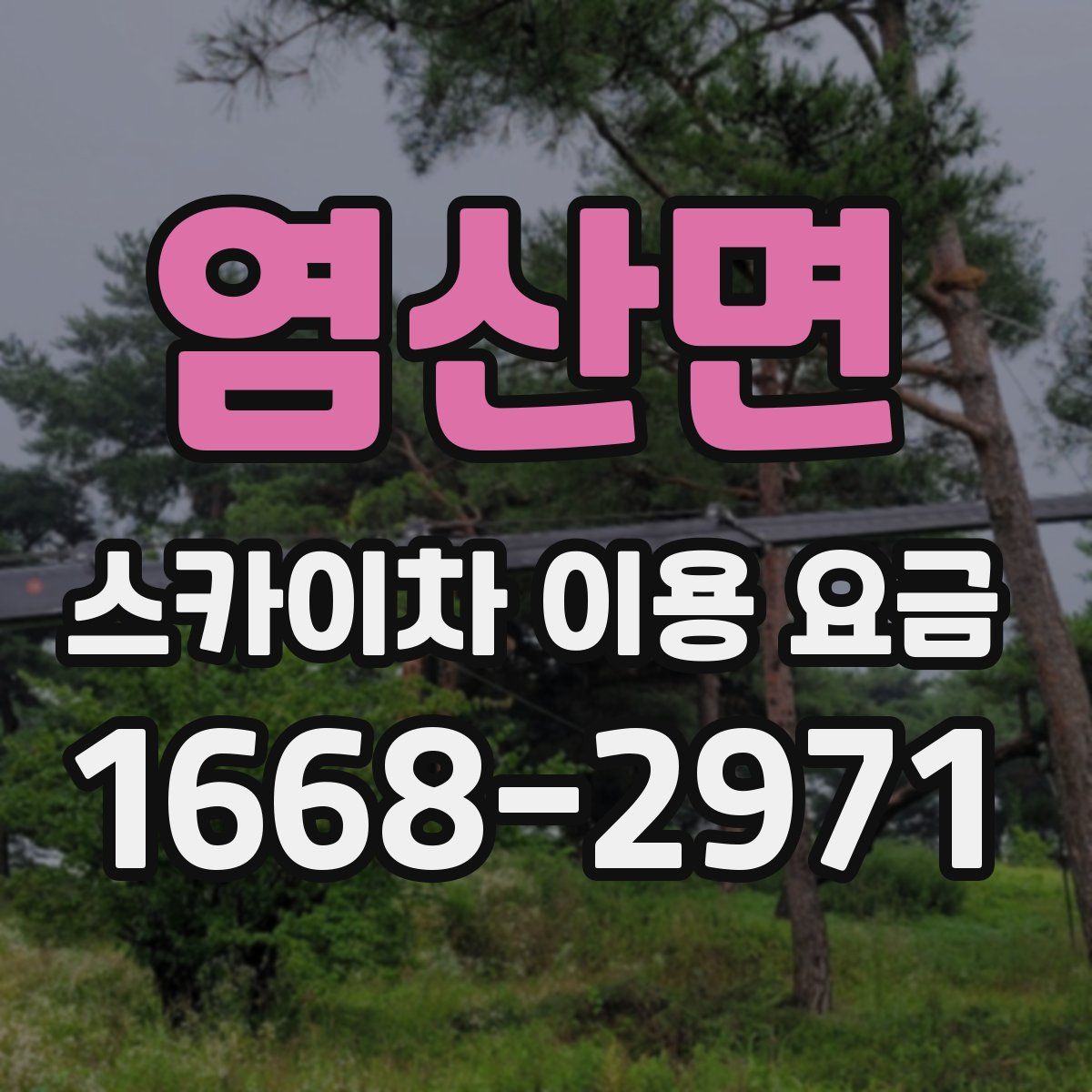 염산면 스카이차 이용 요금