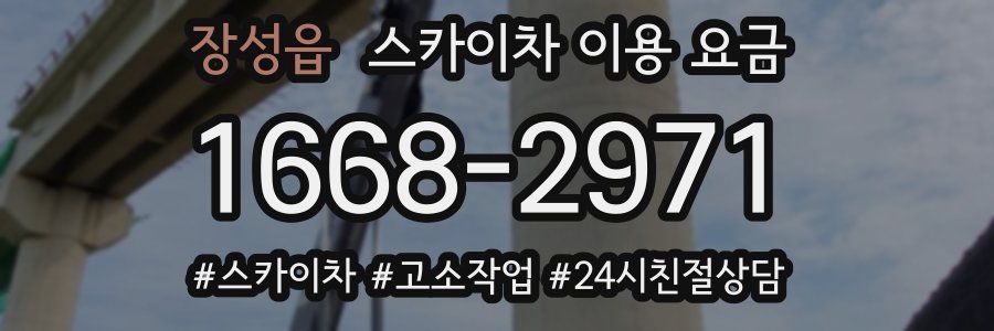 장성읍 스카이차 이용 요금