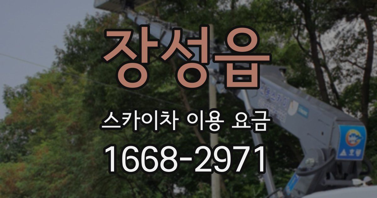 장성읍 스카이차 이용 요금
