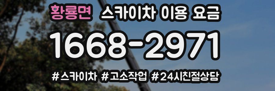 황룡면 스카이차 이용 요금