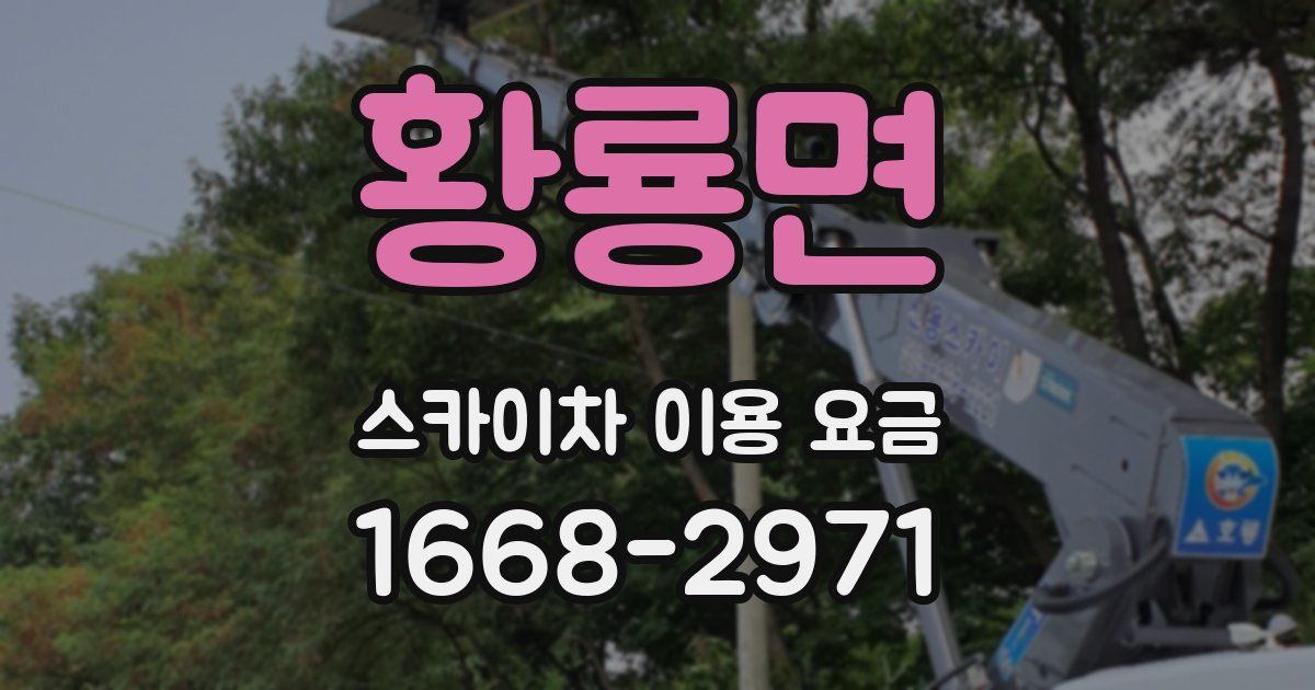 황룡면 스카이차 이용 요금