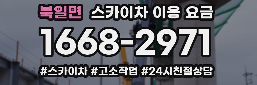 북일면 스카이차 이용 요금