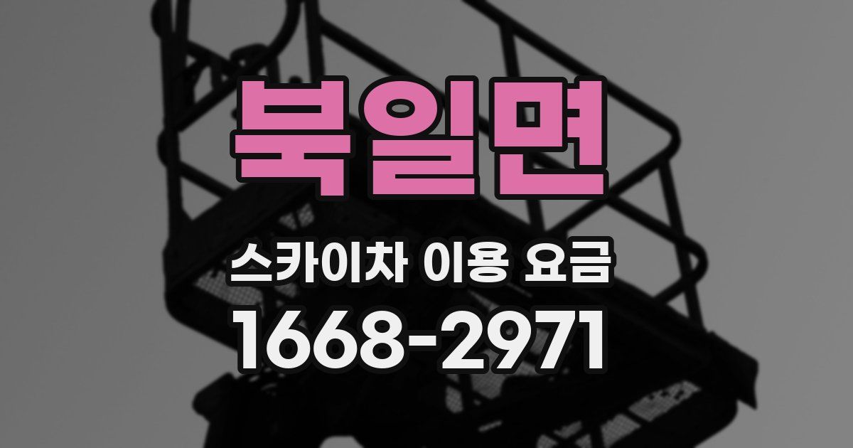 북일면 스카이차 이용 요금