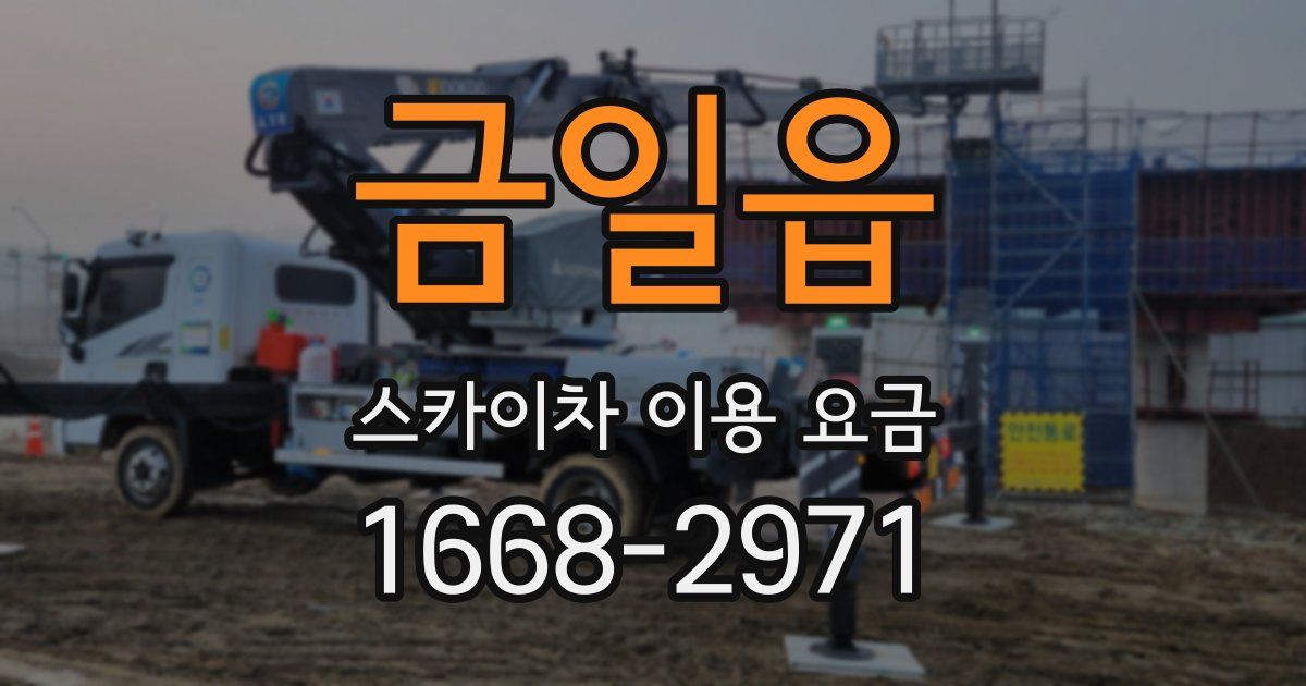 금일읍 스카이차 이용 요금