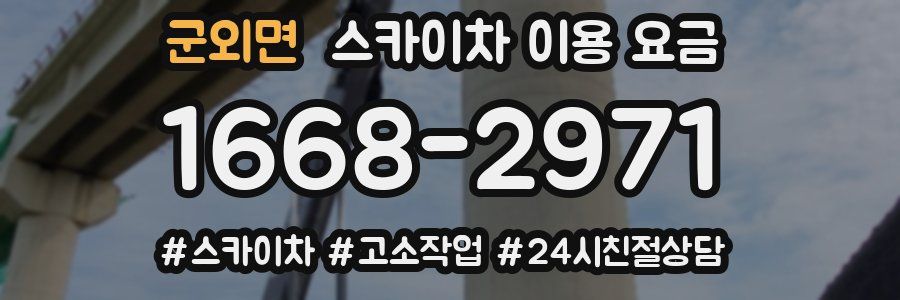 군외면 스카이차 이용 요금