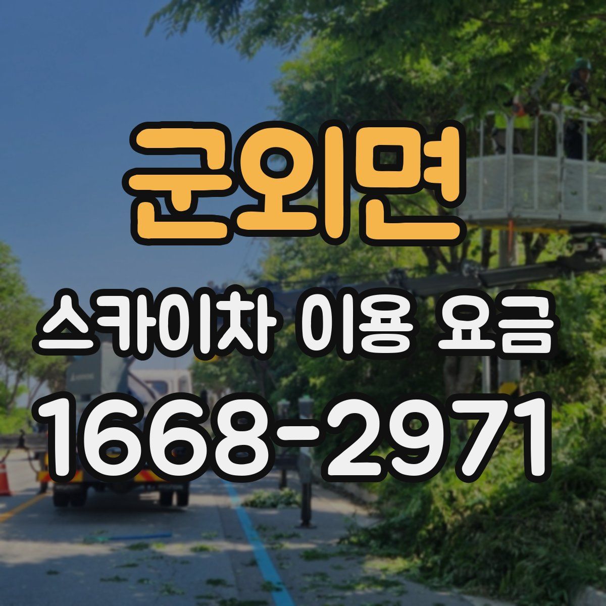군외면 스카이차 이용 요금