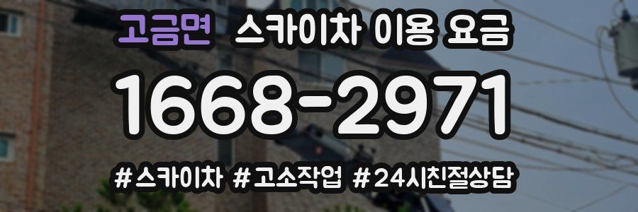 고금면 스카이차 이용 요금