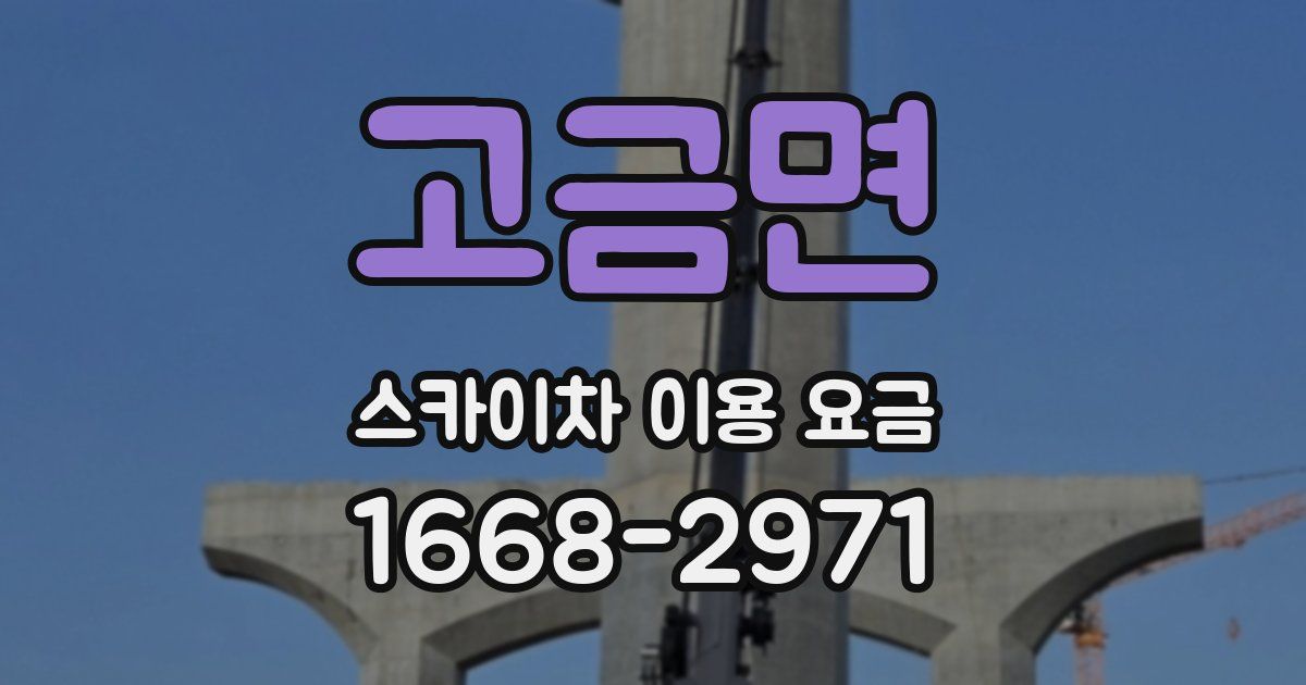 고금면 스카이차 이용 요금