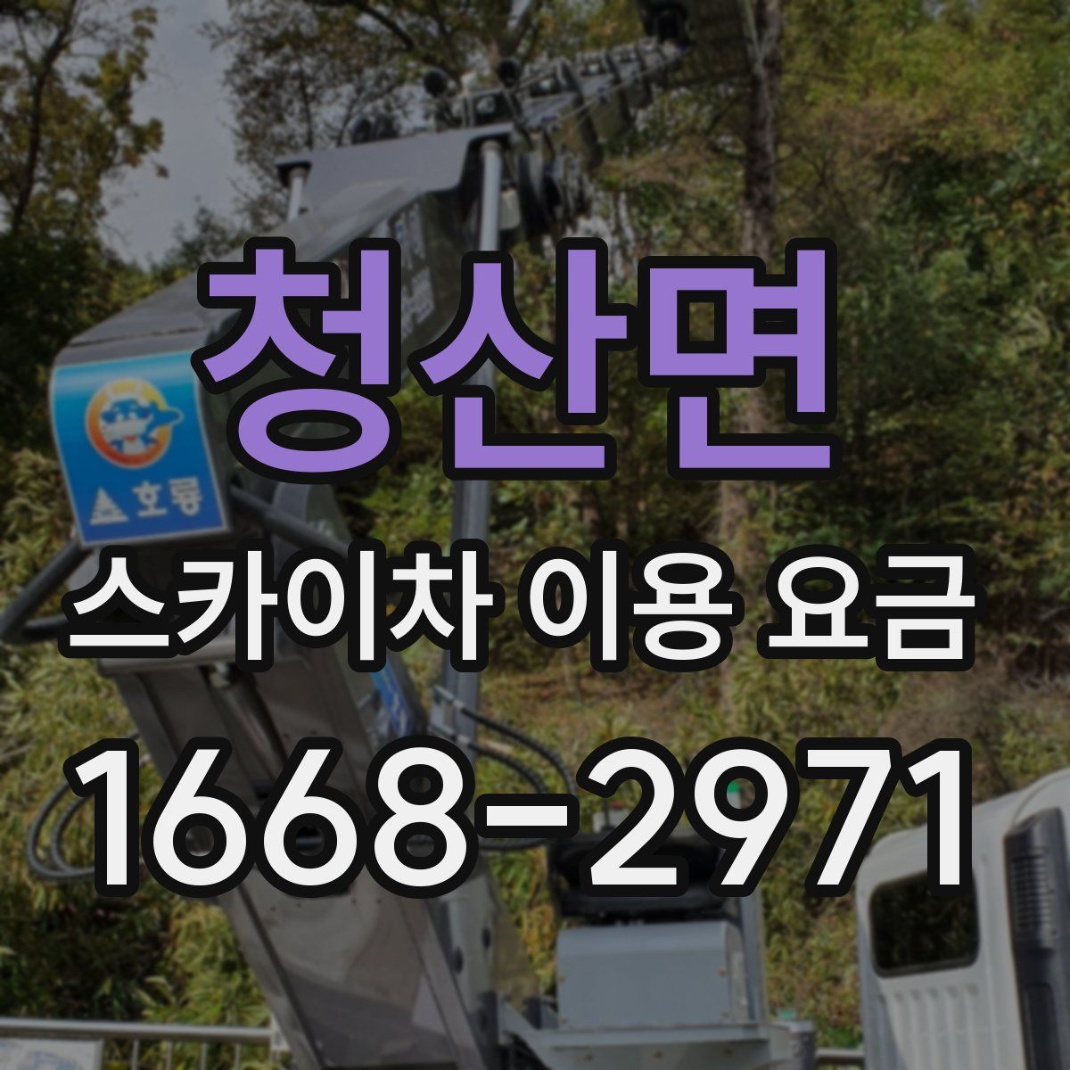 청산면 스카이차 이용 요금