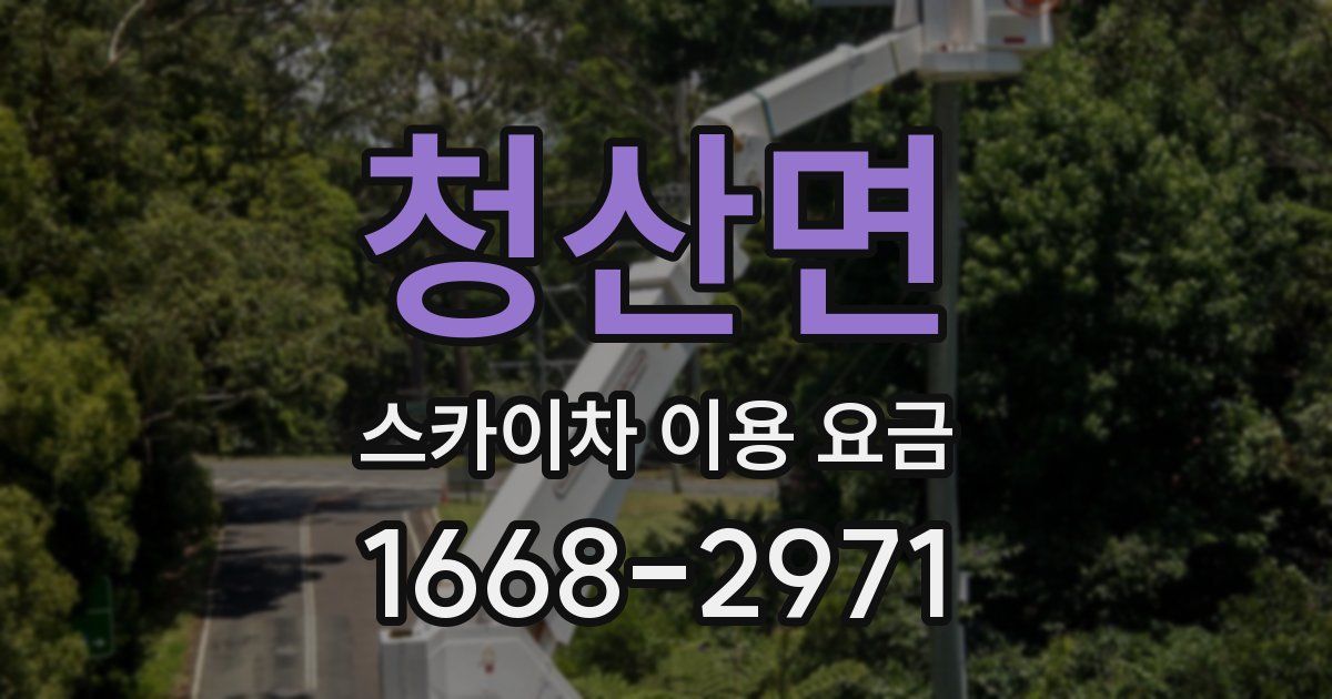 청산면 스카이차 이용 요금