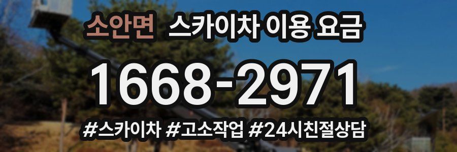 소안면 스카이차 이용 요금