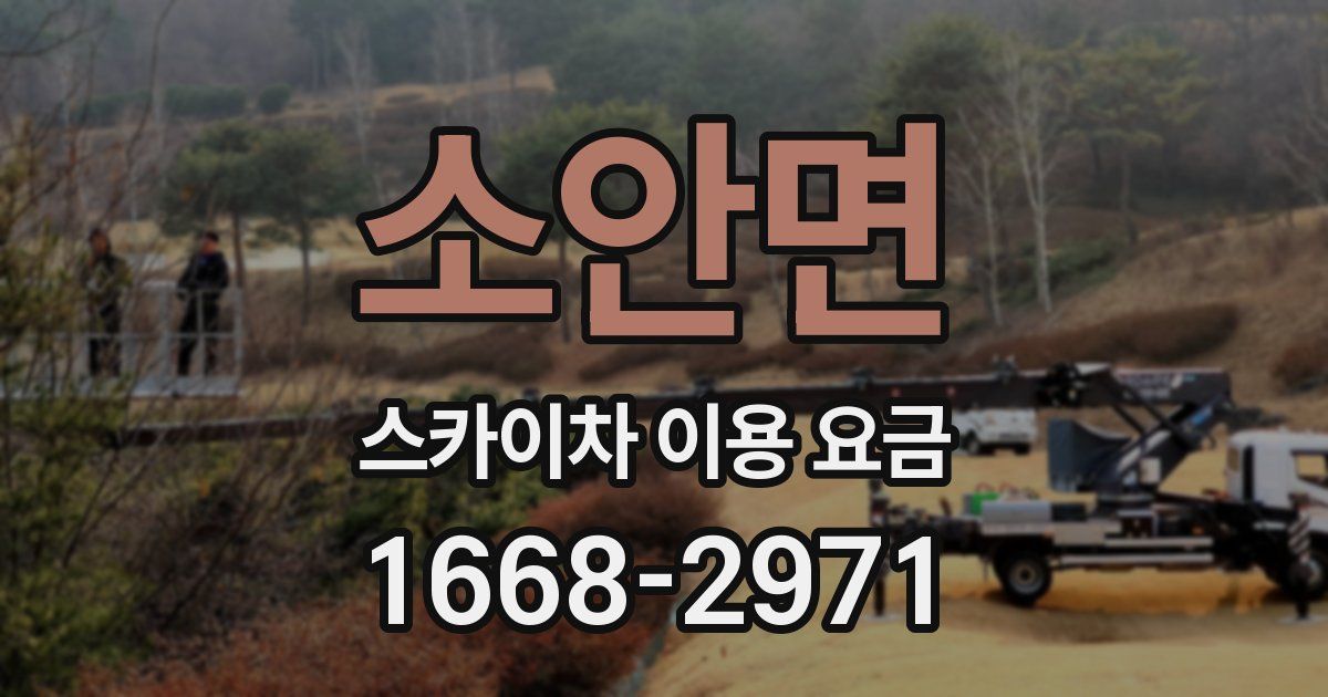 소안면 스카이차 이용 요금