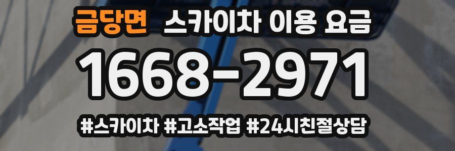금당면 스카이차 이용 요금