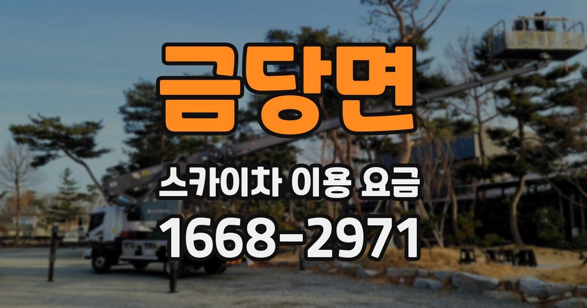 금당면 스카이차 이용 요금