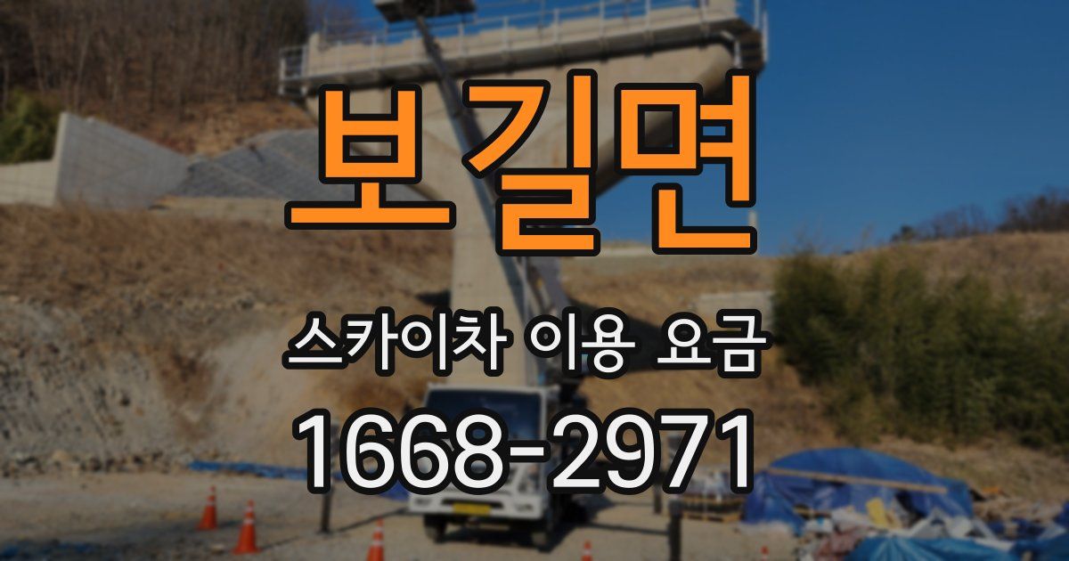 보길면 스카이차 이용 요금