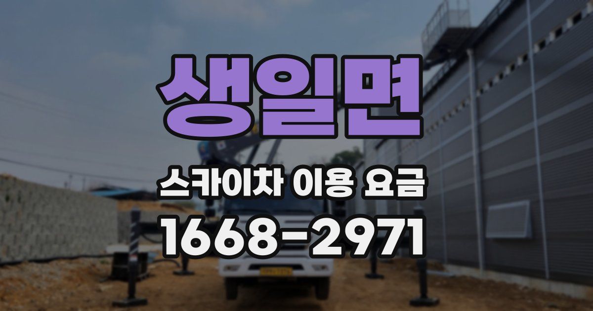생일면 스카이차 이용 요금
