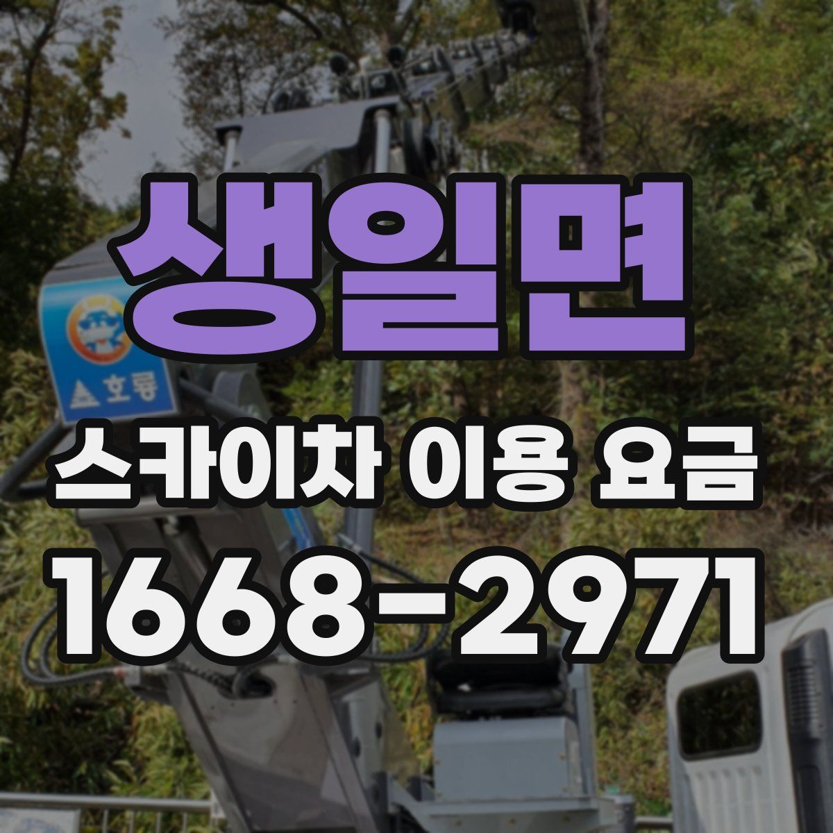 생일면 스카이차 이용 요금