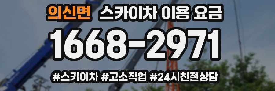 의신면 스카이차 이용 요금