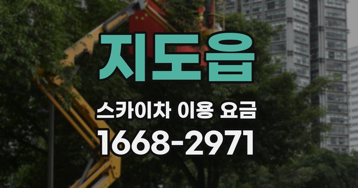 지도읍 스카이차 이용 요금