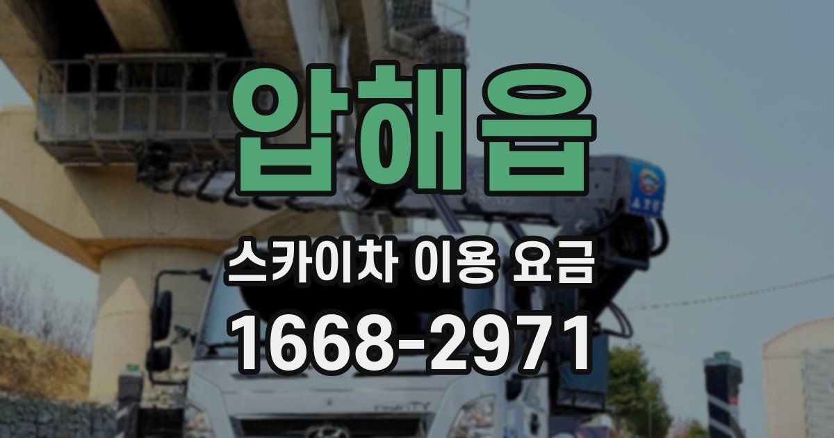 압해읍 스카이차 이용 요금
