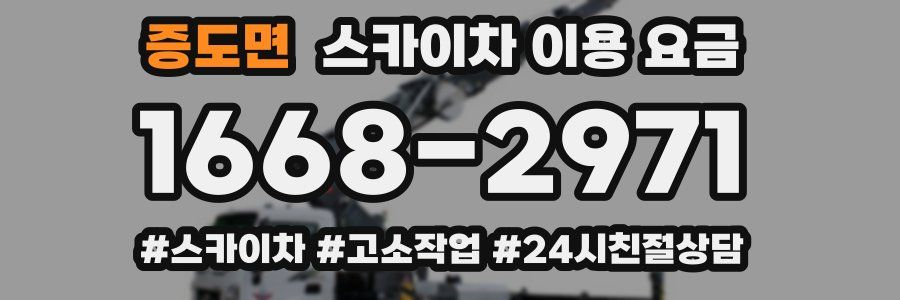 증도면 스카이차 이용 요금