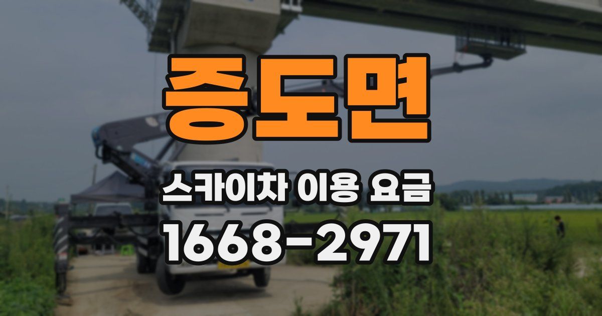 증도면 스카이차 이용 요금