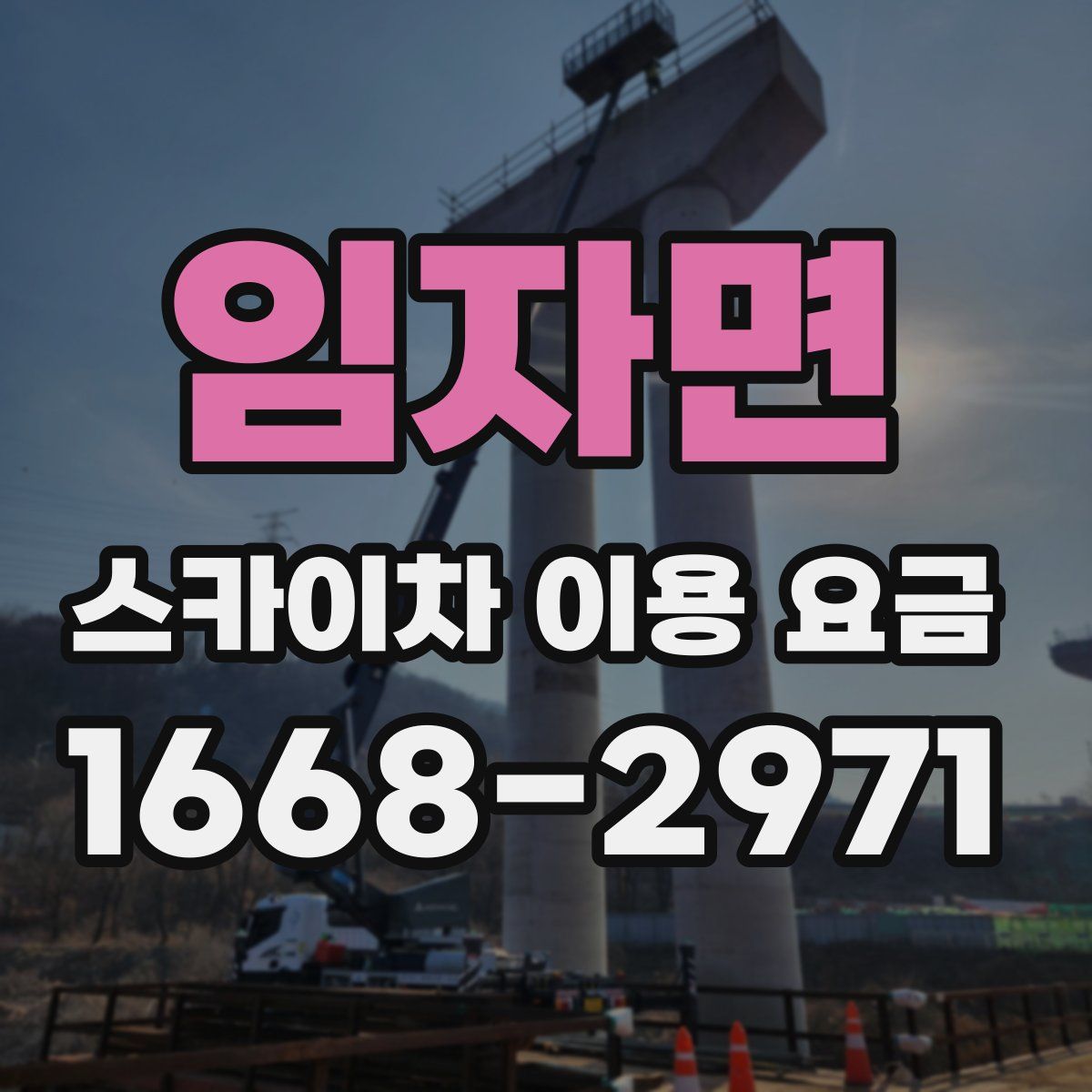 임자면 스카이차 이용 요금