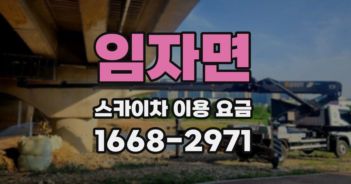 임자면 스카이차 이용 요금