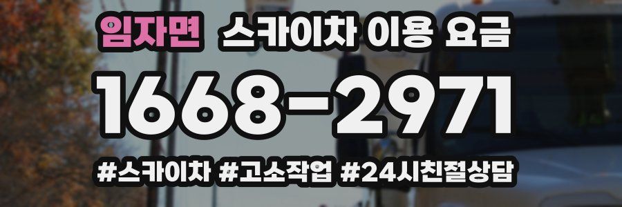 임자면 스카이차 이용 요금