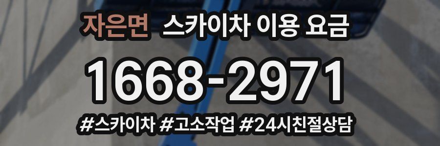 자은면 스카이차 이용 요금