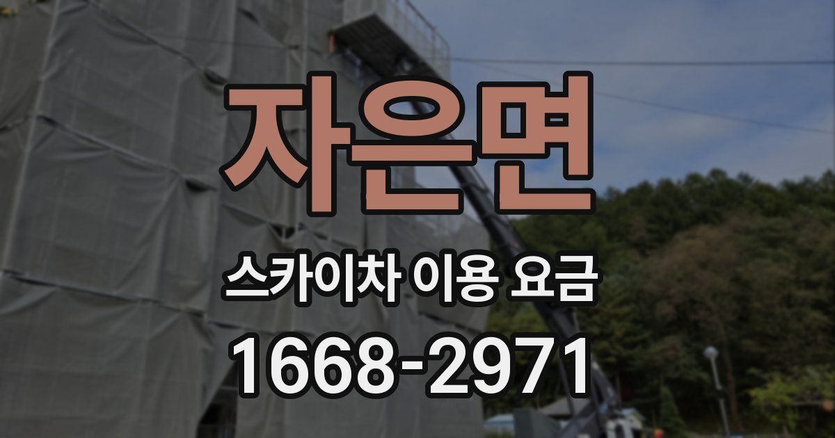 자은면 스카이차 이용 요금