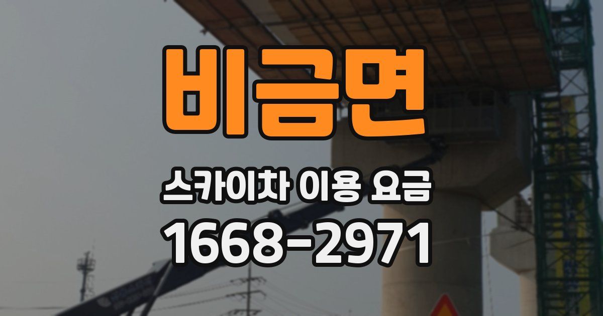 비금면 스카이차 이용 요금