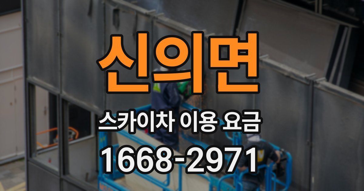 신의면 스카이차 이용 요금