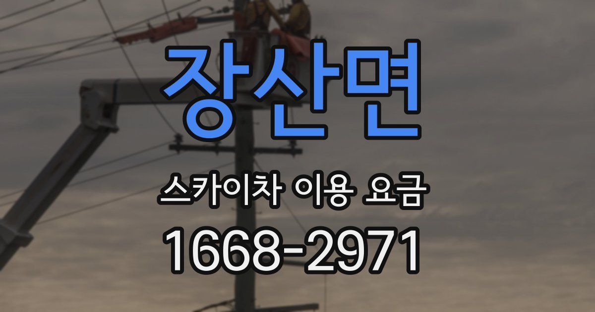 장산면 스카이차 이용 요금