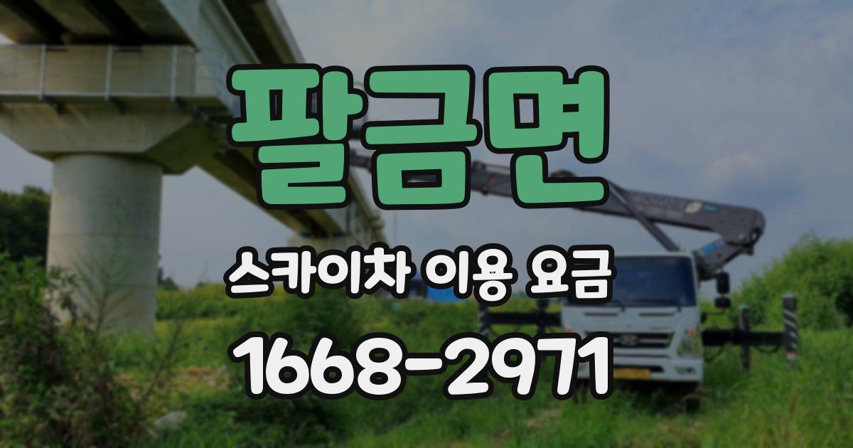 팔금면 스카이차 이용 요금