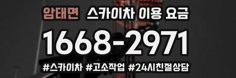 암태면 스카이차 이용 요금