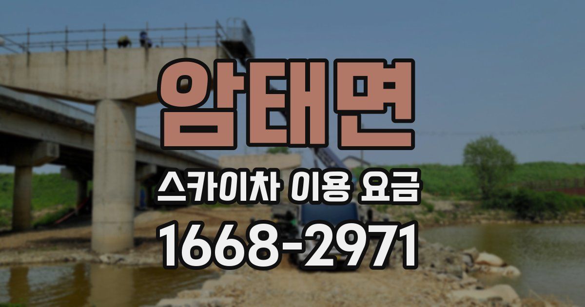 암태면 스카이차 이용 요금