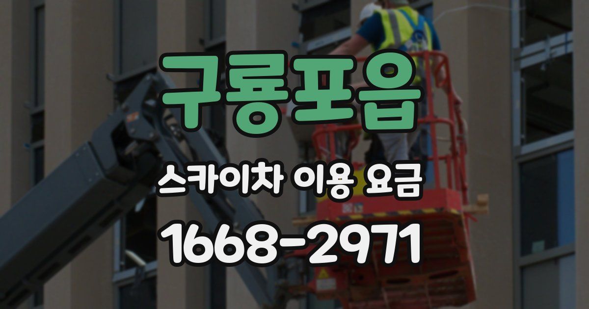 구룡포읍 스카이차 이용 요금