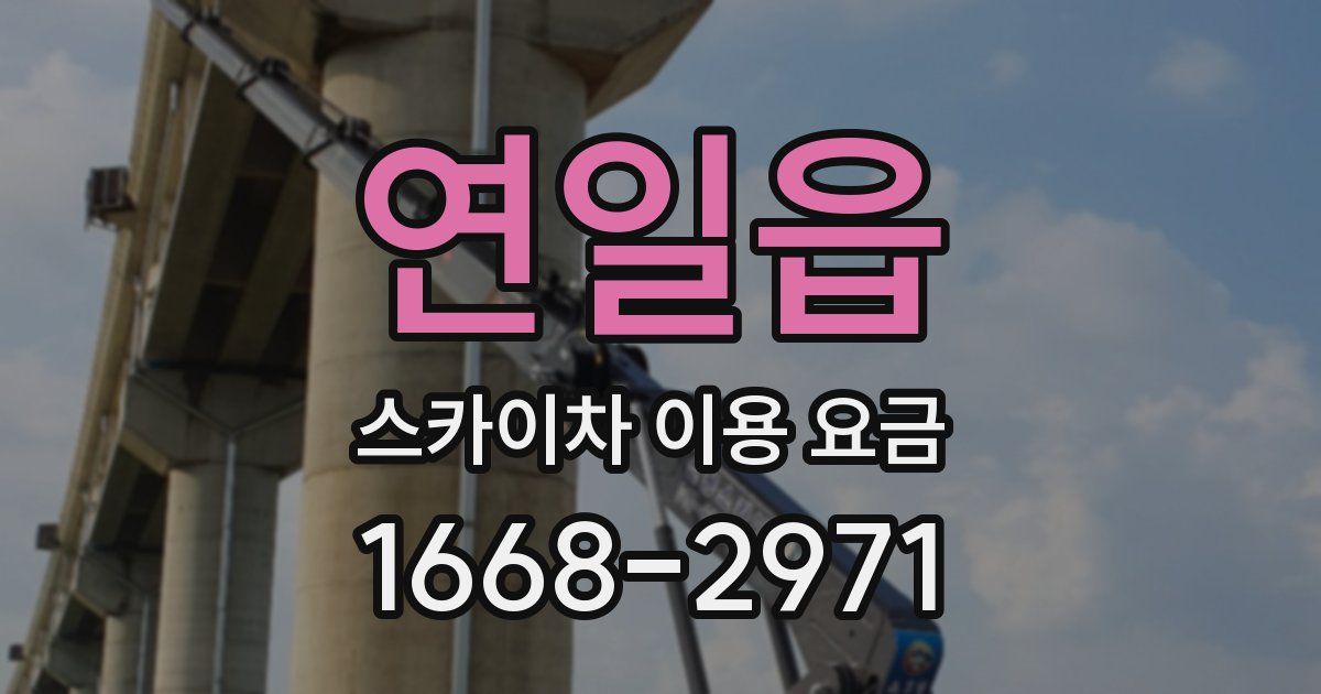 연일읍 스카이차 이용 요금