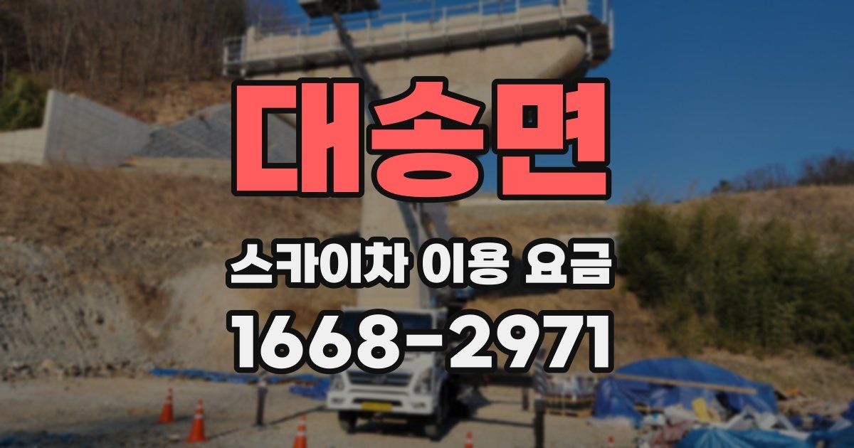 대송면 스카이차 이용 요금