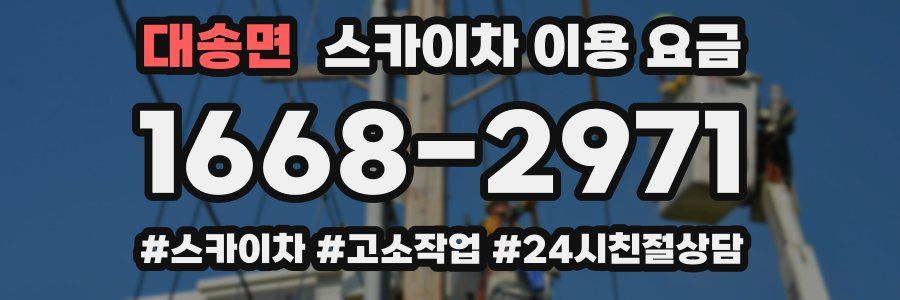 대송면 스카이차 이용 요금