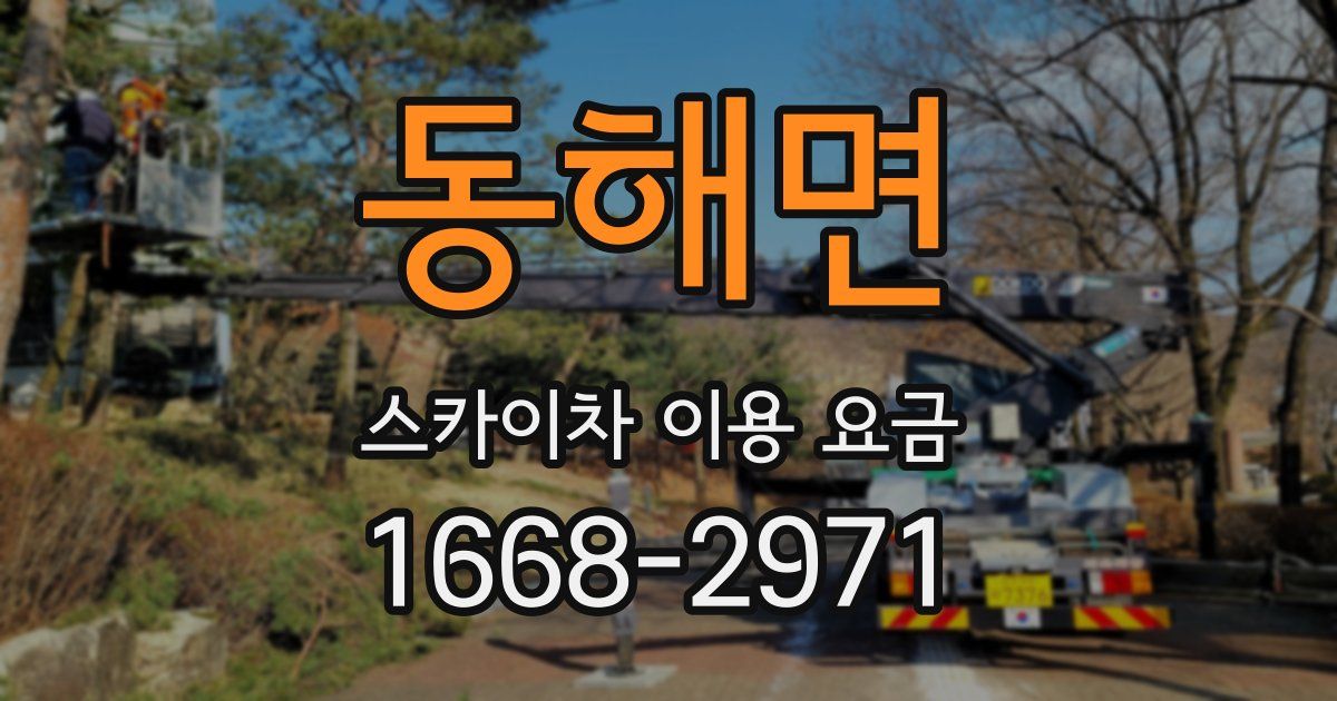동해면 스카이차 이용 요금