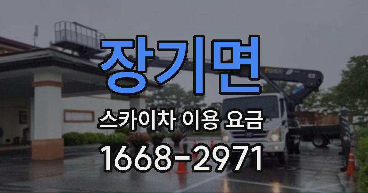 장기면 스카이차 이용 요금
