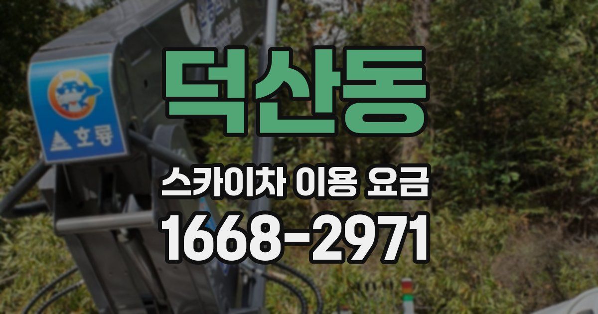 덕산동 스카이차 이용 요금