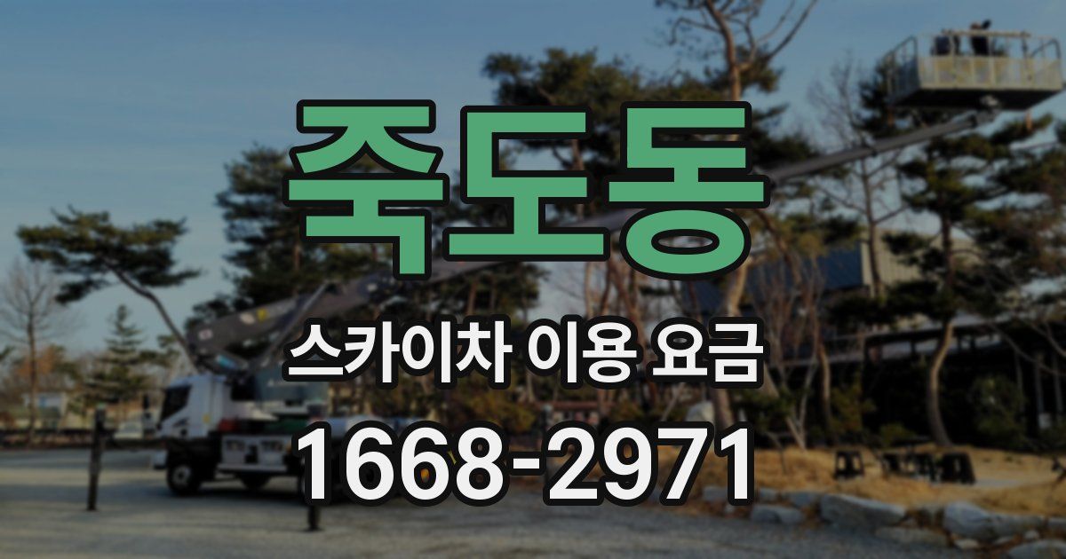 죽도동 스카이차 이용 요금
