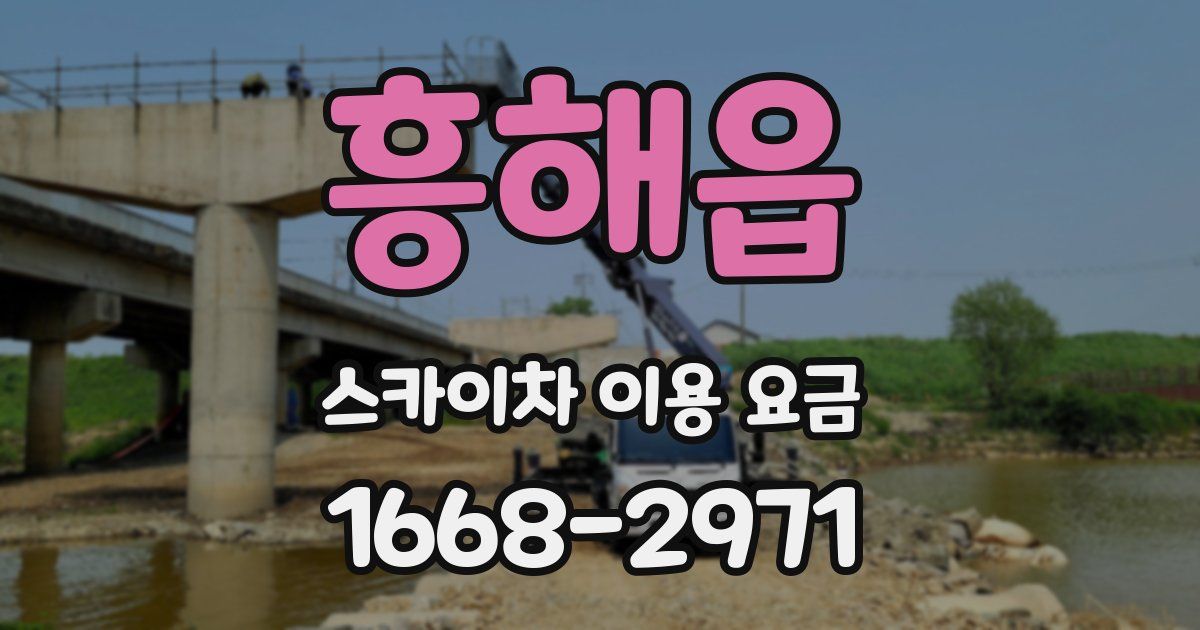 흥해읍 스카이차 이용 요금